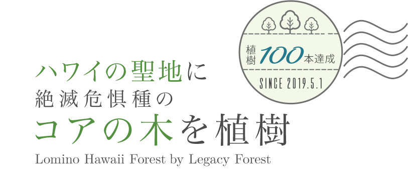 ハワイの聖地に絶滅危惧種のコアの木を植樹 Lomino Hawaii Forest by Legacy Forest 植樹100本達成 since 2019.5.1
